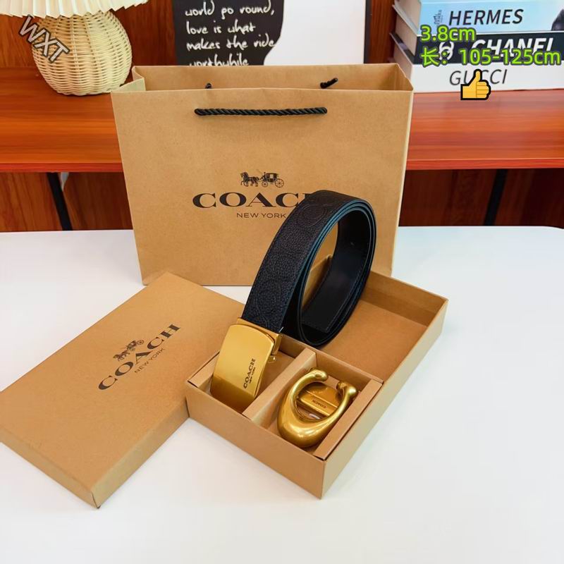 Coach belt 38mmX105-125cm 8L09